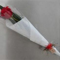 Red Rose